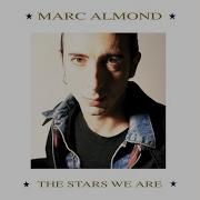 Marc Almond Bitter Sweet