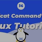 Linux Tutorials Cat A Versatile Command Geeksforgeeks Geeksforgeeks