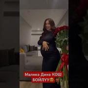 Малика Дина