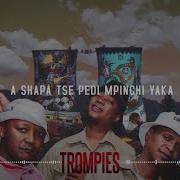 Trompies Oskido Copperhead Sweety Lavo