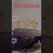 Ты Утром Проснись И Посмотри