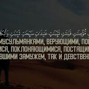 Сура Тахрим Мухаммад Курди