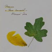 Теплый День Джама Рома Хикматов