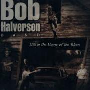 Bob Halverson Band