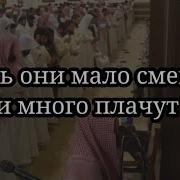 Мухаммад Аль Люхайдан Сура Сад 81