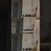 Пизда Сует Сиську В Письку