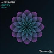 Surrender Analog Jungs