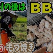枯水的双子碳烤