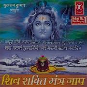 Om Karpur Gauram Karunavtaram Sansar Saaram From Shiv Shakti Mantra Jaap Anuradha Paudwal