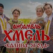 Калина Ягода Ансамбль Хмель