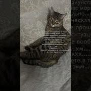 У Меня Морально Паническая Атака