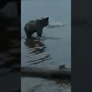 Я Сказал Пошел Нах Й От Моей Рыбы Бл Ть