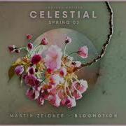 Martin Zeidner Bloomotion