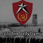 Здесь На Севере Пусто И Тихо