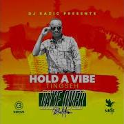 Dj Sadic Hold A Vibe