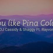 If You Like Pina Coladas Dj Cassidy And Shaggy Ft Rayvon Lyric Video Lyric Videos