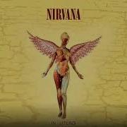 Nirvana Dumb Backing Track For Guitar With Vocals