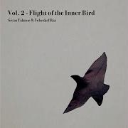 Flight Of The Inner Bird