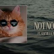 Not Normal Feat Ilish Wes Harris Rapzilla