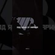 Уннв 028 Remix Dvdf Ck
