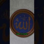 هل سمعتم قصة تحكي مجدا بسماها