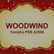 Woodwind Voices Yamaha Psr A3000