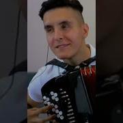 Баянист В Чат Рулетке