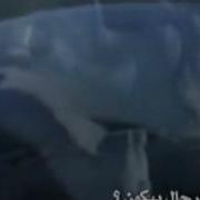 Анашид На Французском Красивый Нашид