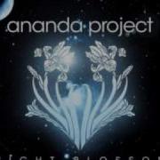 Ananda Project Secrets King Britt Sunset Mix