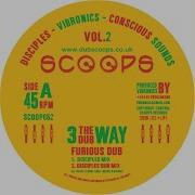 Furious Dub Disciples Dub Mix Vibronics Disciples Conscious Sounds