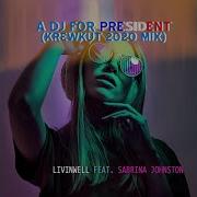 Livinwell A Dj For President