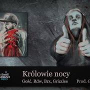 Królowie Nocy Feat Rdw Brx Grizzlee Gedz