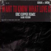 Serebe Shiloh Yodelle Eric Kupper I Want To Know What Love Is