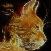 Teaganbear Fireheart