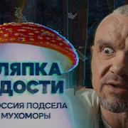Мухоморная Лихорадка
