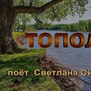 Тополь Низко Ветки Клонит