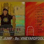 Vineyardfool Jump