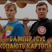 Петро Бампер Про Картошку