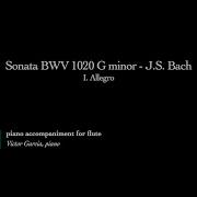 Sonate G Moll Bwv 1020 I Allegro Moshe Aron Epstein Wolfgang Zerer