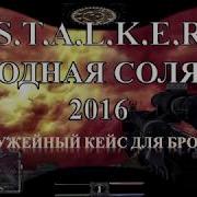 Кейс С Оружием Для Брома