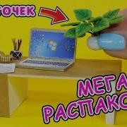 Мега Распаковка И Цветок Миниатюра Для Кукол Своими Руками Diy Покупки Для Творчества Анна Оськина