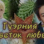 Фф Гуэрния Цветок Любви