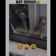 Господи Спаси И Сохрани Прикол Обезьяна