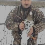 Голоса Гусей Для Охоты