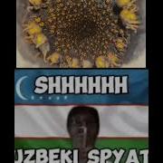 Чш Узбеки Спят