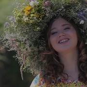 Камыши Аполлинария Новикова