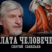 Сергей Савельев Как Мозг Лечит Позвоночник