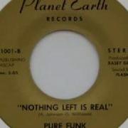 Pure Funk Nothing Left Is Real