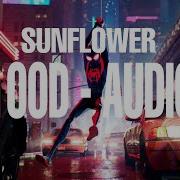 Post Malone Swae Lee Sun Flower 100D