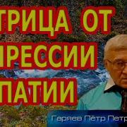 Матрица Гаряева Лекарство От Депрессии И Апатии 852 Hz Медитация Чувство Любви Духовного Порядка